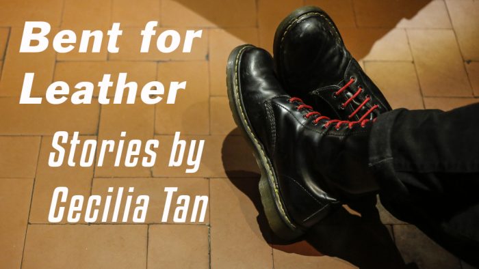 Banner image from the Kickstarter for Bent for Leather showing a pair of polished boots